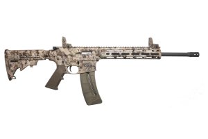 Smith & Wesson M&P15-22 22 LR 10211