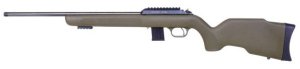 Diana R-22 Classic .22LR 4030017 .22lr .22WMR