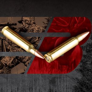 Barnes Ammunition Centerfire Rifle .223 Rem 55Gr H
