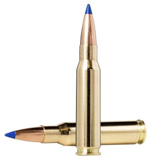 Norma Dedicated Hunting Bondstrike 308 Win 180gr 20176412