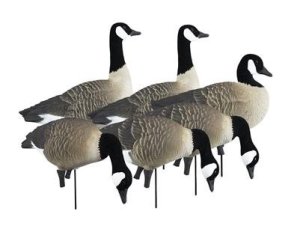 Higdon Outdoors 72237 Full-Size Full-Body Canada Goose Variety Pack