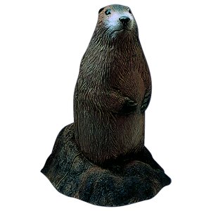 Delta McKenzie 50515 Backyard 3D Woodchuck Target, IBO Rings, 21"x15"x13"