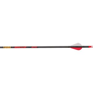 Gold Tip HUN300A2 Hunter Arrows 12pk 300 Raptor Vanes 9.3 GPI