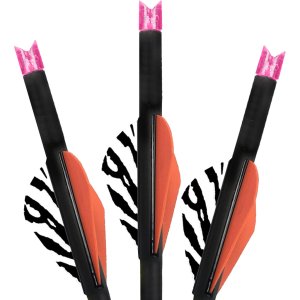 Lumenok BECC223P Crossbow Bolts 22In Pink Moon 3pk Carbon