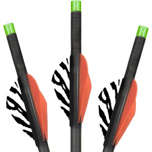 Lumenok BECC223G 22" Carbon Crossbow Bolts Green Moon Nocks 3 Pack