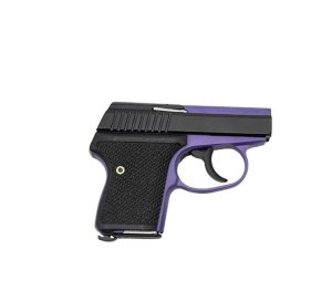 L.W. Seecamp LWS-380 .380 ACP LWS-380-BRPURW