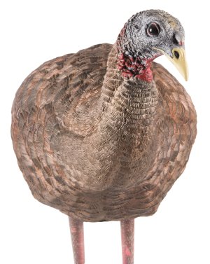 GSM Outdoors Avian-X LCD Breeder Hen Decoy Flapping Motion