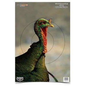 Birchwood Casey Pregame Turkey Paper Hanging Universal 12" x 18" Multi-Color 8 Per Pkg