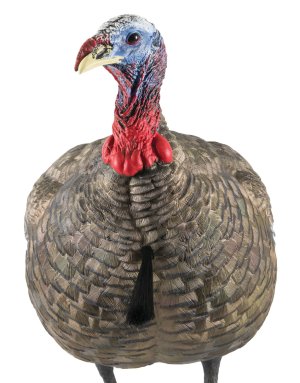 GSM Outdoors Avian X LCD Quarter-Strut Jake Decoy Lifelike