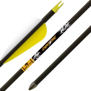 Gold TIP Arrow Lightning Youth 2.5" Vane TEC Glued-In PNT 3PK LIGA253