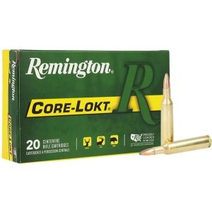 Remington Core-Lokt 6mm Rem 100 Grain PSP 20 Rounds 29051