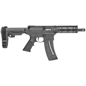 Smith & Wesson M&P15 22 LR 13321