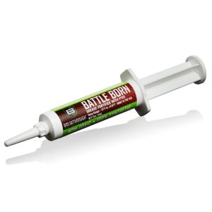 Breakthrough Clean Technologies Battle Born Grease 12cc Syringe BTG-12CC