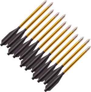 Bear Archery AVXA12P Crossbow Bolts 12-Pack