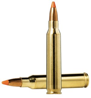 Norma Dedicated Hunting Varmint 223 Rem 55gr Polymer 20157352