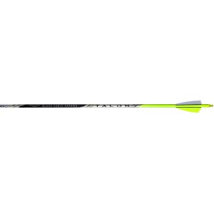 Black Eagle Talon Arrows 300 Spine 2.5In Shield Cut 6-Pack