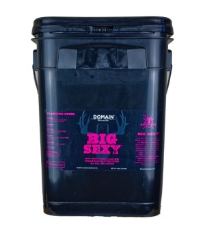 Domain BSFP3 Big Sexy Seed Mix 1/2 Acre Turnip-Radish-Kale 3 lb