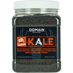 Domain Kale Pounder Seed 1/6 Acre Coverage Pack Garden Starter