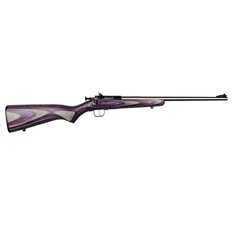 Keystone Sporting Arms Crickett 22 LR KSA2228