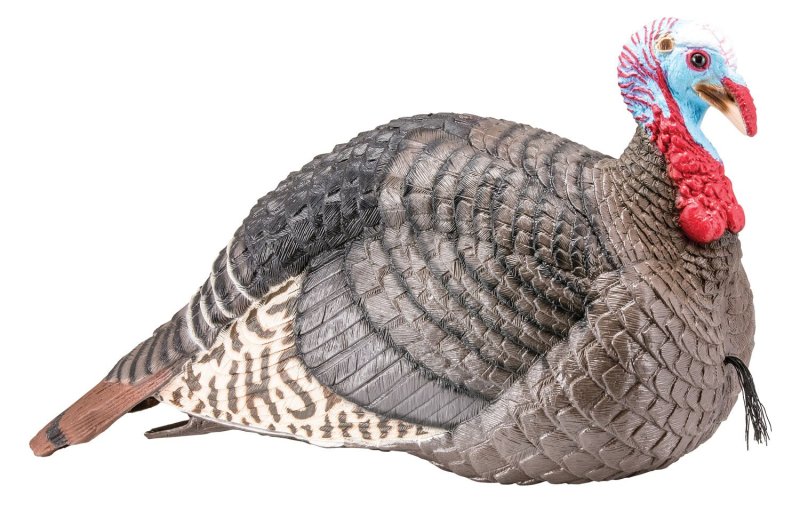 Hunters Specialties Strut-Lite Jake Decoy 100003 Multi-Color Synthetic