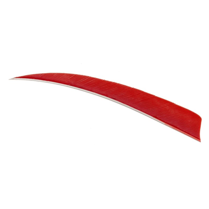 Trueflight 11603 Shield Cut Feathers Red 4 In RW 100 Pack
