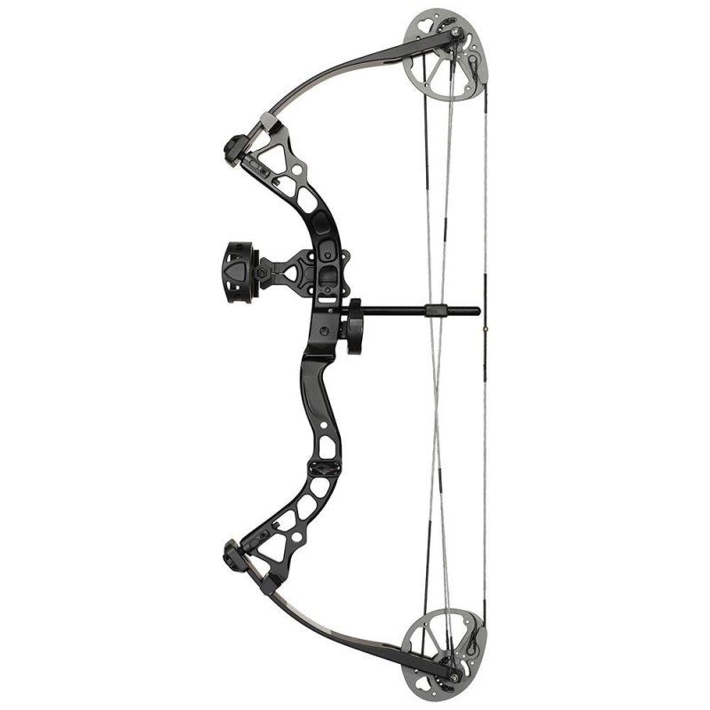 Pure Archery Group Atomic Black 12-24In 29lb RH Youth Package