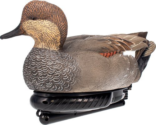 Avian X AVX PSW GDSW Gadwall Drake Decoy Realistic