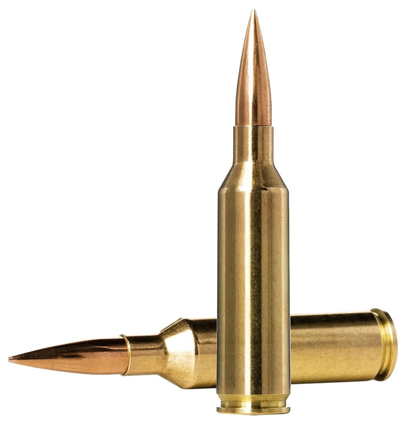 Norma 10166462 6.5 PRC 143gr HPBT Ammo 20 Rounds