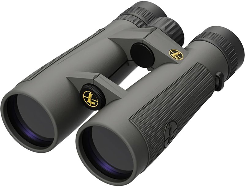 Leupold BX-5 Santiam HD 10x50mm Binocular Shadow Gray Armor
