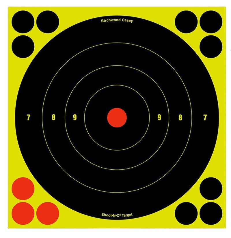 Birchwood CASEY Shoot-N-C 8in Bull's-Eye 30 Targets 360 Pasters (34825-30)