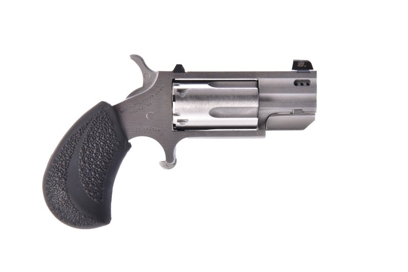 NAA Pug Revolver 22 LR/22 Magnum 1 In 5-Round Stainless Steel