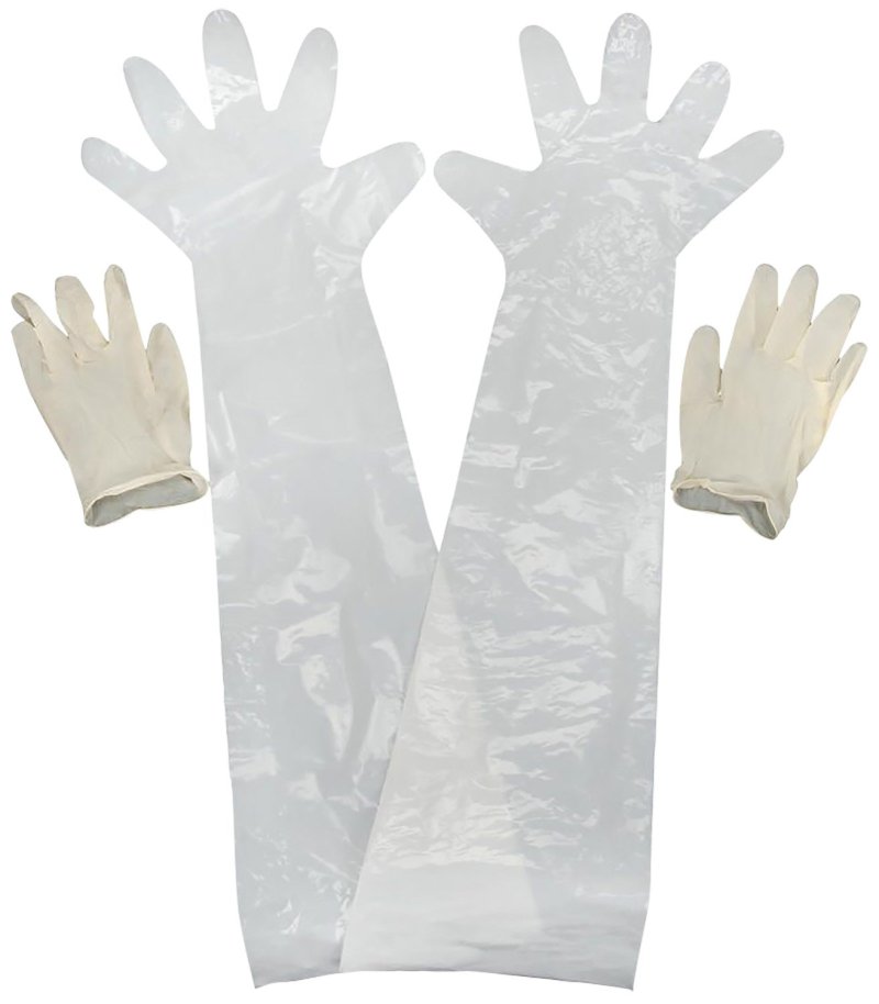 Allen 51 Field Dressing Gloves Clear Latex 2 Pack Wrist Shoulder Length