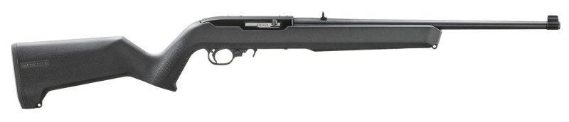 Ruger 10/22 22 LR (Stainless Steel)