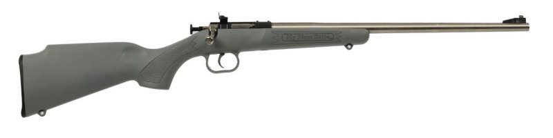 Keystone Sporting Arms Crickett 22 LR KSA2448