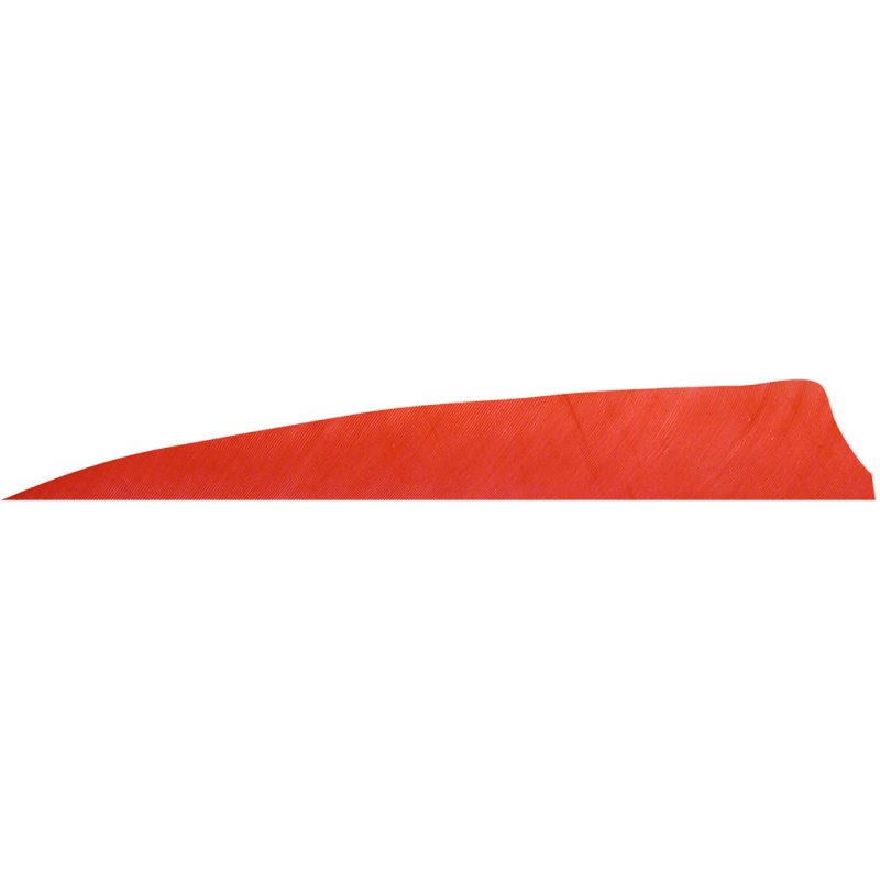 Gateway 400RSSRR-100 Shield Cut Feathers Red 4 In RW 100 Pack