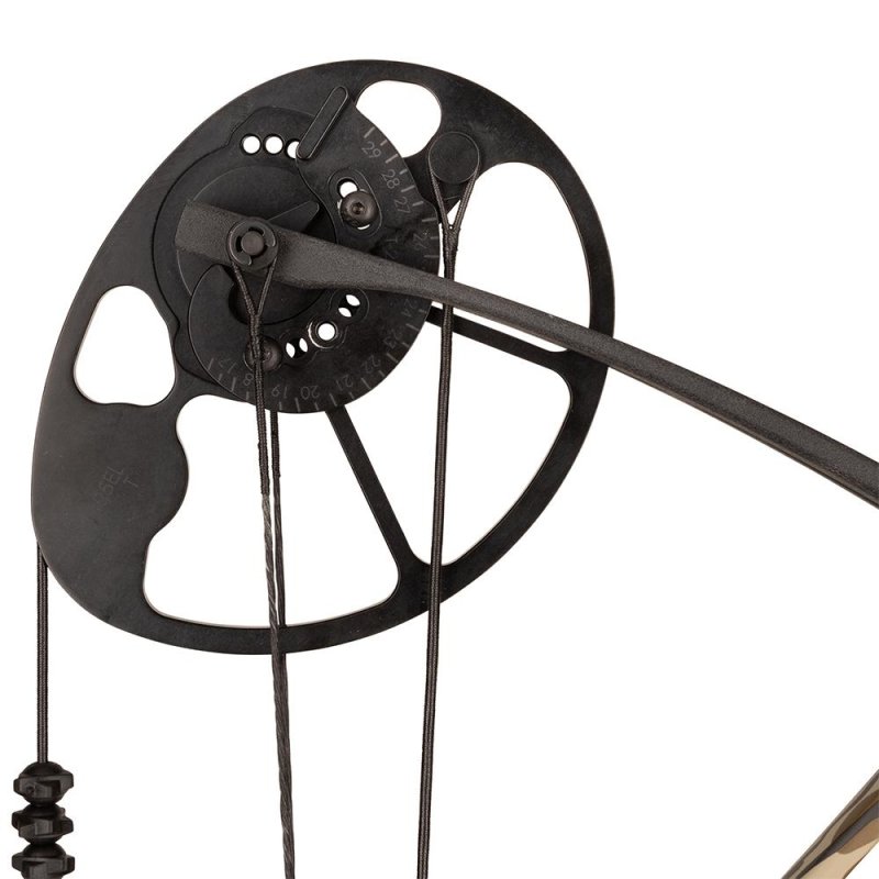 Diamond Radian Bow Package Bottomland 10-55 lbs. RH