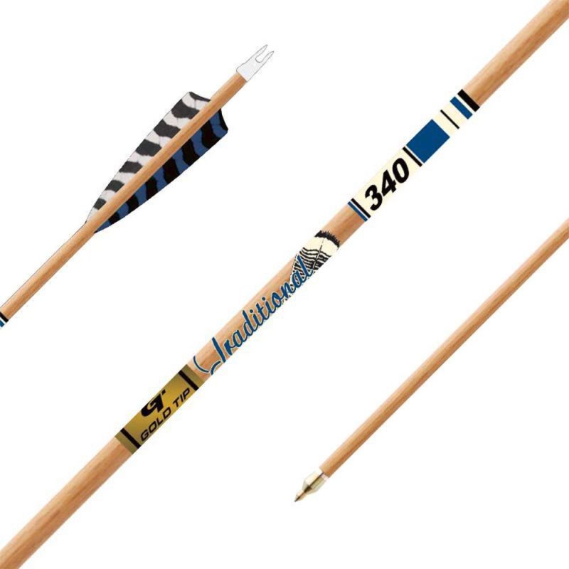Gold Tip TRXT500F6 Traditional XT Arrows 500 5" Feathers 6 Pack