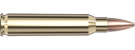 Hornady 250th Frontier 223 Rem 55 gr Full Metal Jacket 250rd