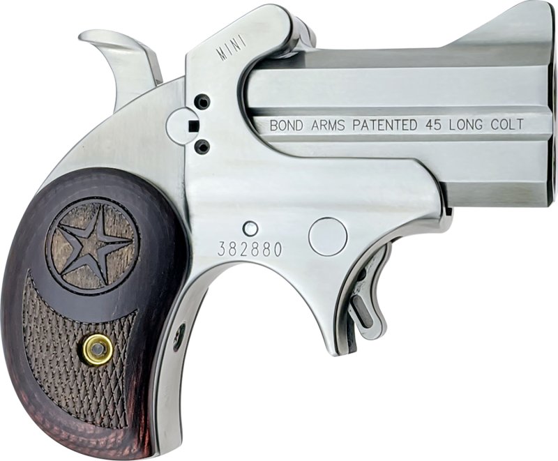 Bond ARMS Mini Original 45 Colt (Long Colt) 2.5in. Barrel 2rd - Stainl...