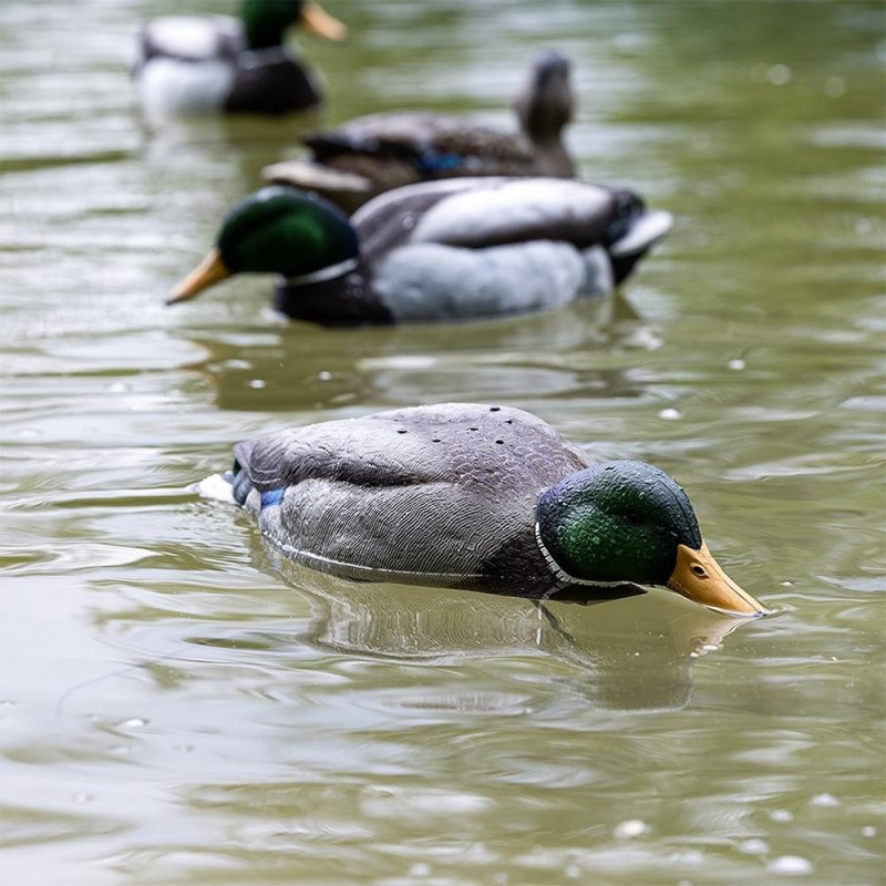 Avian-X Tip Up Mallard Decoy Realistic Feeding Motion Patent-Pending Design