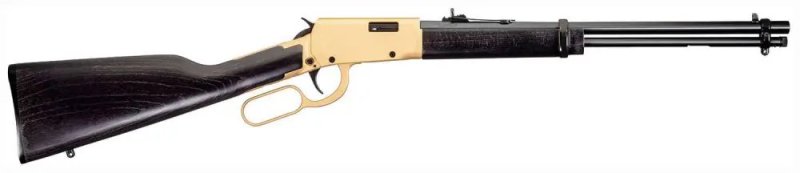 Rossi Rio Bravo 22 LR RL22181WD-GLD2