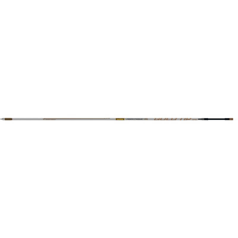 Gold Tip AS300A2746 AirStrike Arrows 300 4 Fletch 6pk Ultra-Light .204