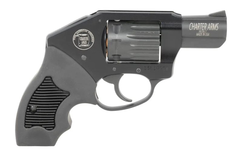 Charter Arms WALKER .22 WMR