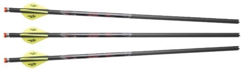 Excalibur Quill 22QV16IL-3 16.5 In Illuminated Nocks 3-Pack