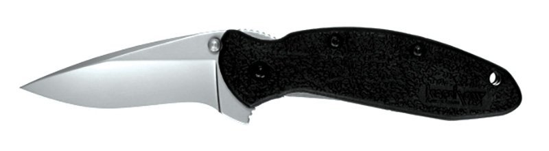 Kershaw 1620 Scallion Assisted 2.4 In 420HC Drop Point Knife