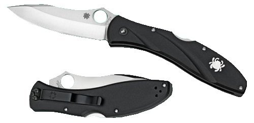 Spyderco Folding Knife With Plain Edge C66PBK3 260 3.14 In