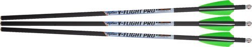 Excalibur V-Flight Pro 18 In Illuminated Arrows 3-Pack