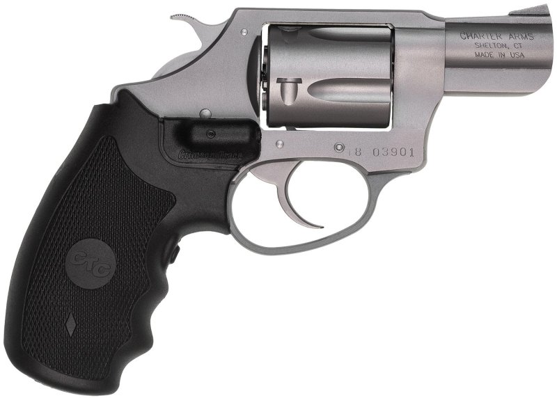 Charter Arms Undercover 38 Special (Stainless Steel)