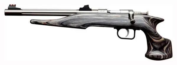 Chipmunk Hunter Youth 22 LR