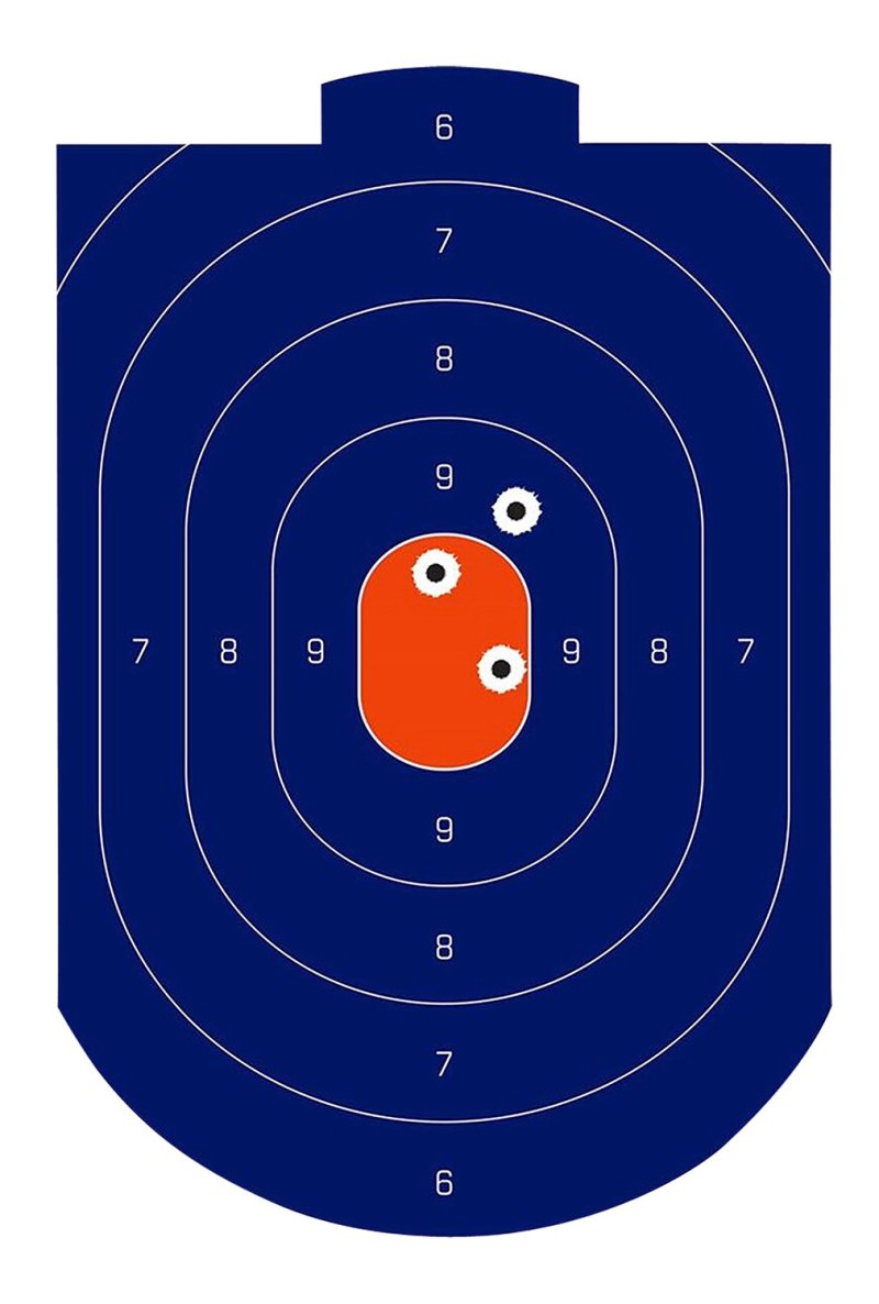 Birchwood Casey 35714 Dirty Bird Silhouette Target Tagboard